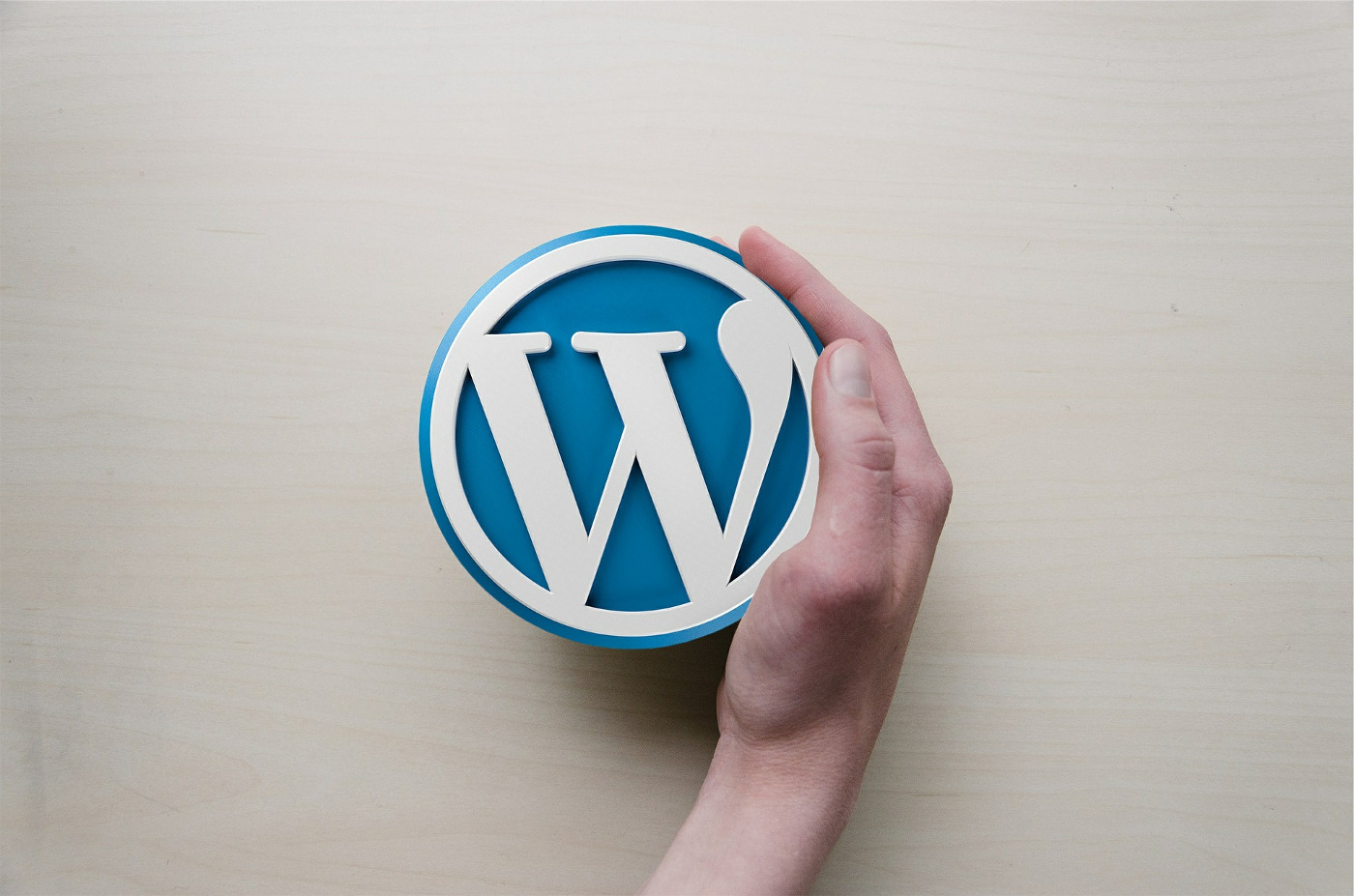 CMS WordPress - wady i zalety